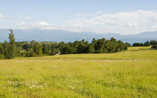 Mirador del Lago – Fase 1