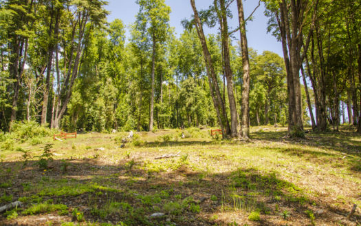 Mirador de los Nevados a 15 minutos de Pucón