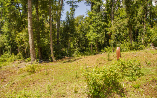Mirador de los Nevados a 15 minutos de Pucón