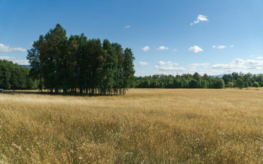Campo Alto Roble: Tu Hogar Entre el Campo y el Lago