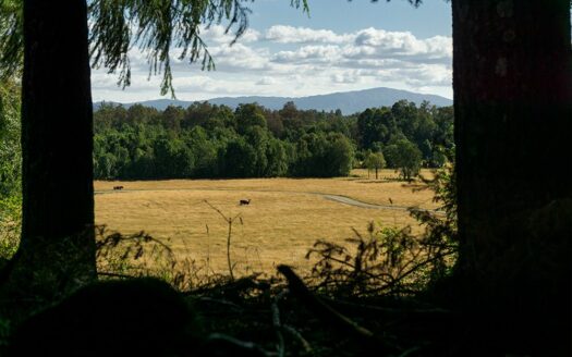 Campo Alto Roble: Tu Hogar Entre el Campo y el Lago
