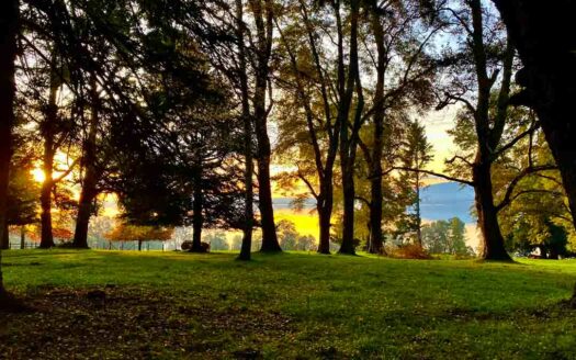 Descubre Aillantu, tu paraíso personal