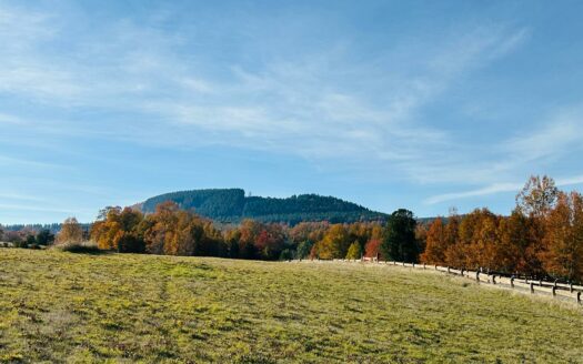 Venta de parcela 36 en Mirador del Lago