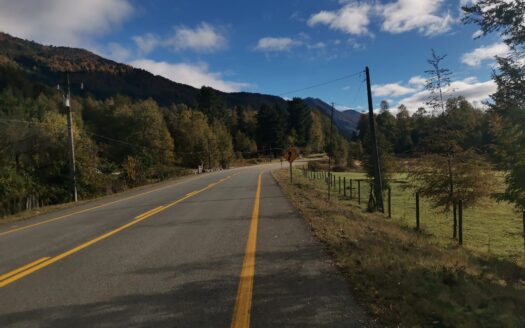 Country Las Peinetas