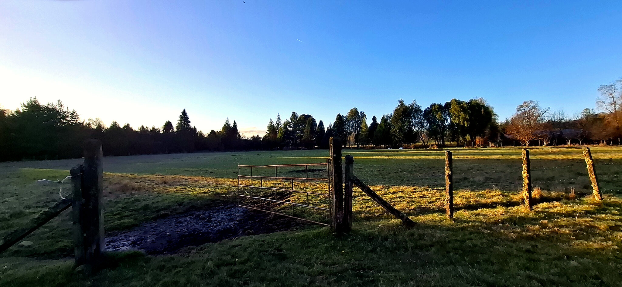 20250914_190406_pro_v2