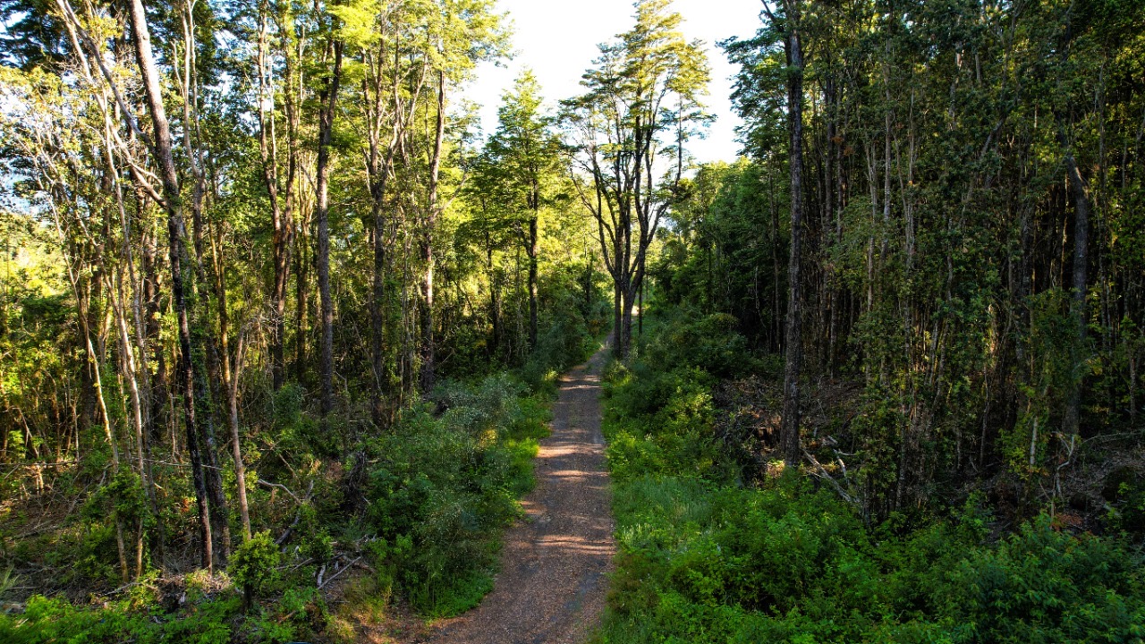 PHOTO-2022-12-28-18-58-11 3 2