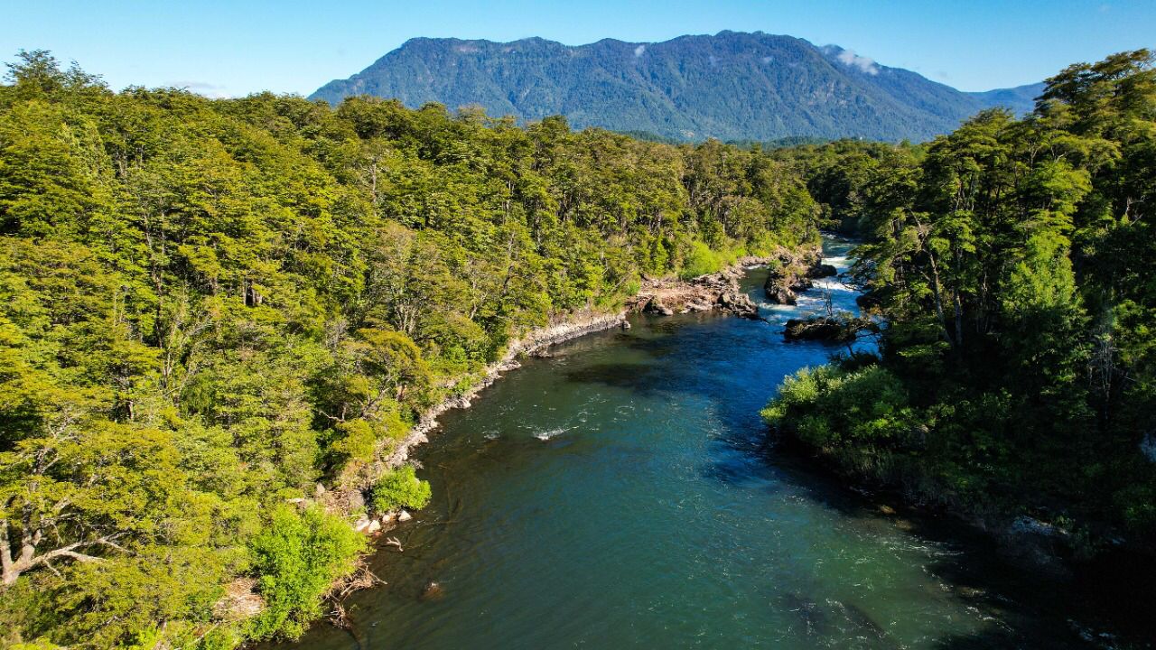 PHOTO-2023-01-11-18-18-07 2 2