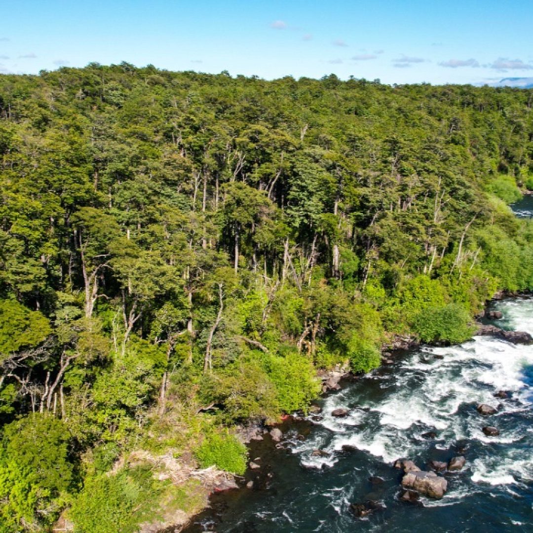 PHOTO-2022-12-28-18-58-10 2 2